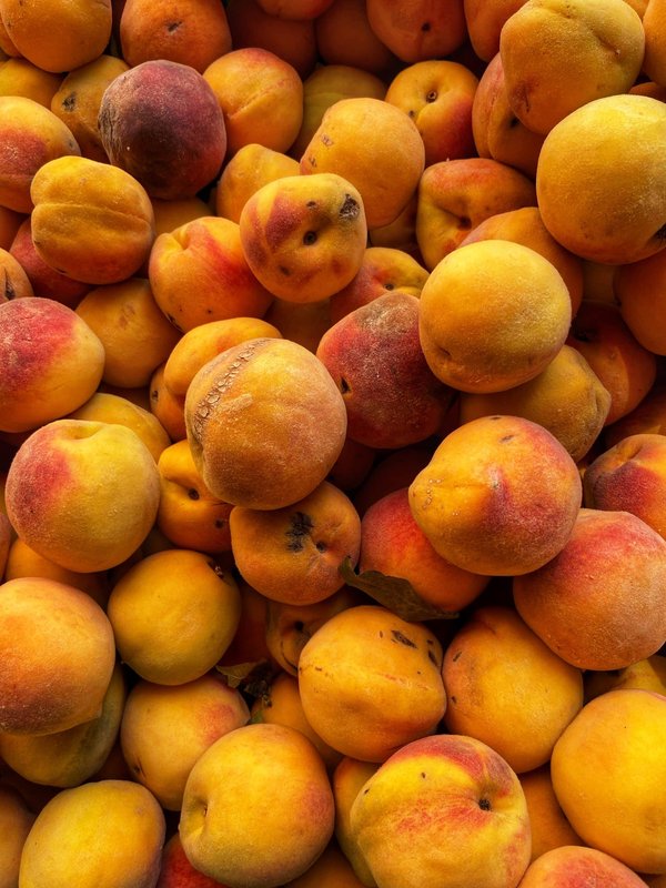 les jeux vidéo de simulation de pêche pour une expérience apaisante au bord de l'eau